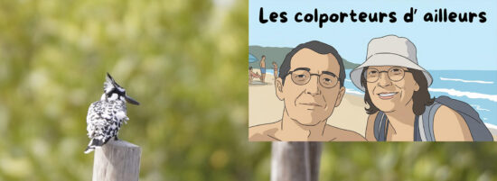 Afriquedelouest2026.lescolporteursdailleurs.com
